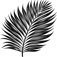 Wall Mural - Palm Leaf Silhouette Vector art