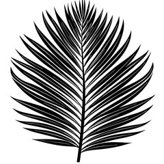 Wall Mural - Palm Leaf Silhouette Vector art