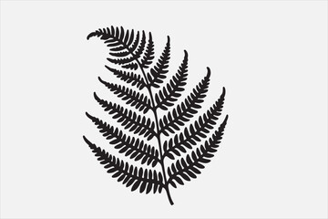 a beautiful fern leaf plant life silhouette design.