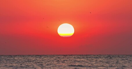 Wall Mural - beautiful tropical sunrise over calm ripple sea water horizon, freedom birds fly against rising sun