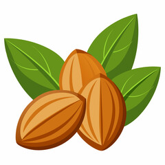 Wall Mural - Almonds on White Background - Vector Art Illustration