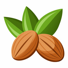 Wall Mural - Almonds on White Background - Vector Art Illustration