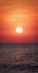 Wall Mural - vertical landscape of calm sea sunrise over ocean water with clouds and flying freedom birds in the 