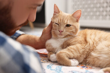 Poster - Man petting cute ginger cat on floor at home, closeup