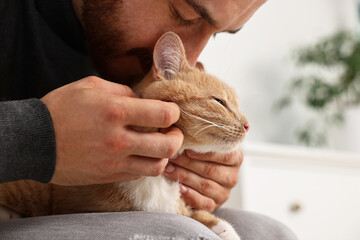 Wall Mural - Man petting cute ginger cat on armchair at home