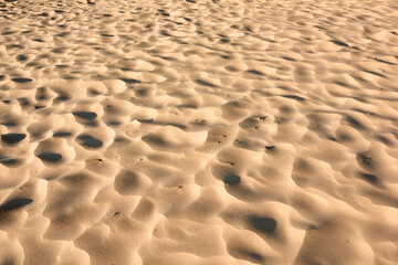 Natural, sand ripples and environment with desert, dune and travel with tourism, adventure and texture. Empty, landscape and outdoor with summer, holiday and sustainability with nature and pattern