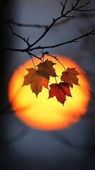 Wall Mural - Silhouette of a branch with three autumn leaves against a sunset.