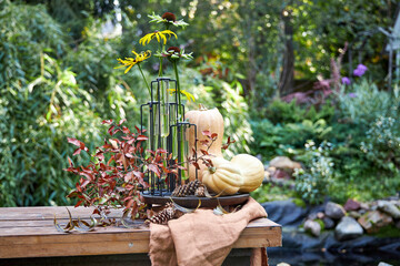 Autumn table decoration with pumpkins and yellow flowers on the background of trees in the garden