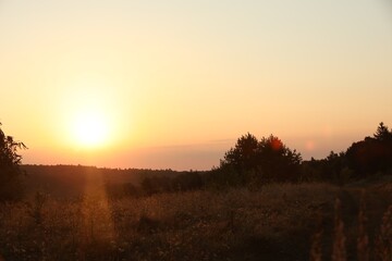 Wall Mural - Beautiful view of sky over meadow at sunrise in morning