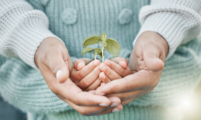 Child, mom and hands with plant and soil for support, unity and development in botany. Love, family and mother with kid for growing leaf with fertilizer for learning, ecology or eco friendly project.