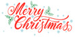 © sense - Merry christmas hand lettering calligraphy isolated on white background. Vector holiday illustration element. Merry Christmas script calligraphy