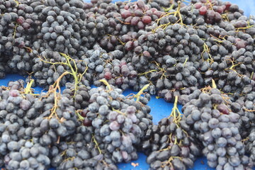 Wall Mural - red grapes in the market