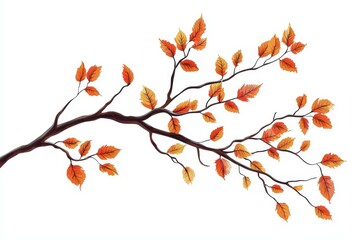 Vibrant Autumn Tree Branch on White Background