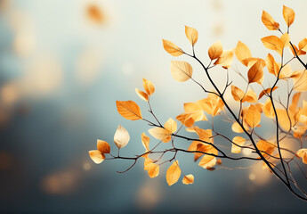 Wall Mural - Maple leaves with autumn colors on blurred background
