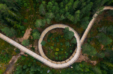 Hamaren Activity Park Green Pines trees aerial top view with curved Treetop Walk. Traveling, architecture design and beauty in Nature concept image. Summer Norway, Europe.