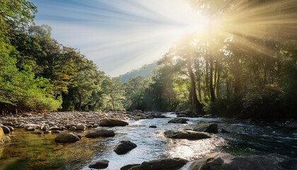 Canvas Print - river in the woods