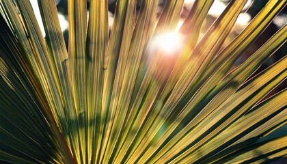 Wall Mural - palm leaf in back light