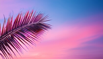 minimalistic palm leaf against a dreamy sky vaporwave style