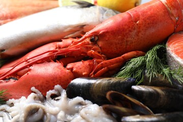 Many different sea food and dill on table, closeup