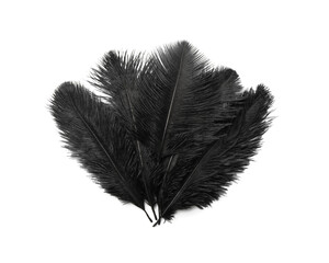 Sticker - Beautiful black bird feathers isolated on white, top view