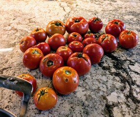 Tomatoes on the counter 