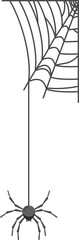 Wall Mural - spider hanging from web black silhouette. spooky decoration