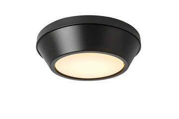 Wall Mural - a black flush mount ceiling light with a white frosted glass diffuser.