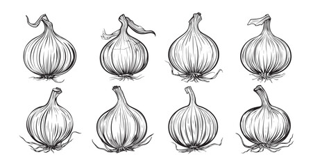 Wall Mural - Onion clipart design illustration