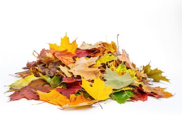 Wall Mural - A pile of vibrant autumn leaves on a white surface, great for fall-themed designs