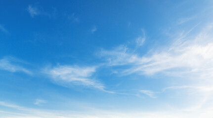 Wall Mural - clear blue sky with a few clouds
