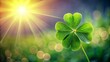 © Jane Studio - A four-leaf clover symbolizing good luck and fortune