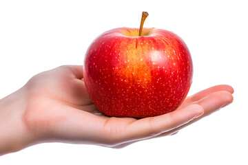 Female hand holding red apple isolated on white background