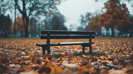 Wall Mural - Autumn Leaves on a Bench in the Park