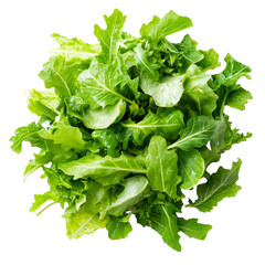 Wall Mural - Fresh salad leaves displayed on a transparent background, ideal for salads and healthy meals, fresh salad leaves on transparent background