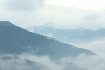 Wall Mural - Picturesque view of beautiful mountains covered with fog