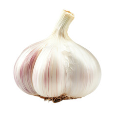 Wall Mural - A garlic bulb rests on a transparent background, highlighting its smooth skin and color variations, ready for cooking, garlic on transparent background