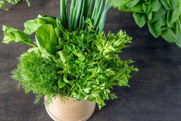 Green onions, spinach, parsley and dill. Vitamin food. Prepare greens for salad. Set different leaves for green borscht