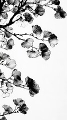 Poster - Black and White Silhouettes of Ginkgo Biloba Leaves