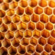 © Irina - Close-up view of a honeycomb showcasing its hexagonal cells