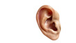 © OP-Png - Close-up image of a human ear showcasing its detailed structure and unique shape. isolated on a white background, transparent background.