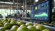 © pkproject - Digital Dashboard Monitoring Coconut Water Production Facility in Real-Time