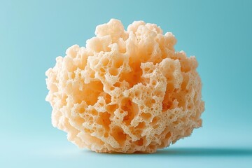 Natural Sea Sponge with Blue Background for Graphic Design