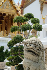 dragon statue on a background of green tree and buddhist temple, Bangkok