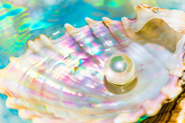 iridescent pearl in open shell