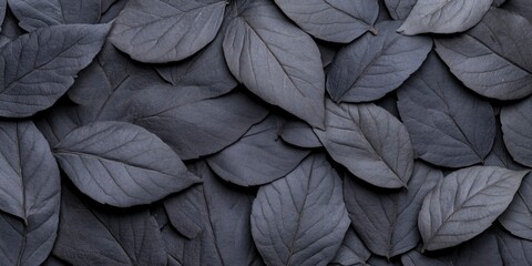 dark gray leaves on black background with copy space