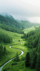 Wall Mural - a winding river runs through a lush green valley