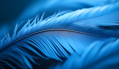 Close up of an blue feather background texture illustration. AI Generated