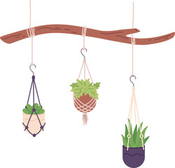 Wall Mural - Houseplant hanging from tree branch. Decorative urban jungle