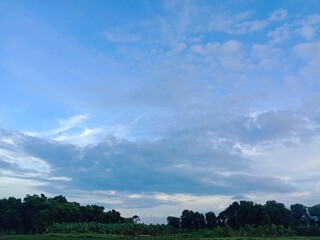 Blue sky and beautiful cloud with meadow tree. Plain landscape background for summer poster. The best view for holiday.