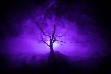 Silhouette of scary Halloween tree with horror face on dark foggy toned background with moon on back side. Scary horror tree with zombie and monster demon faces.